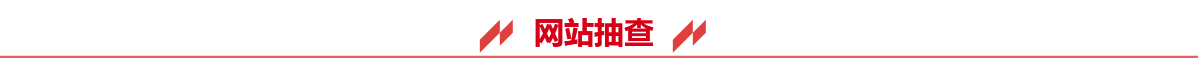网站抽查