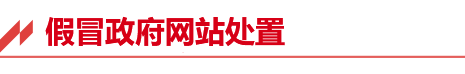 假冒政府网站处置